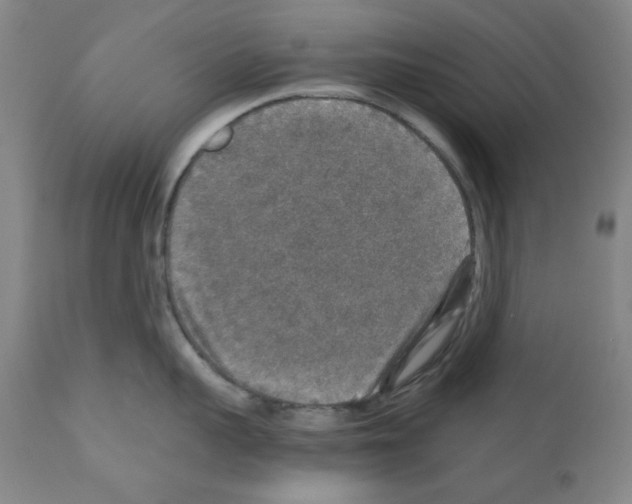 X0000110890959200907301539