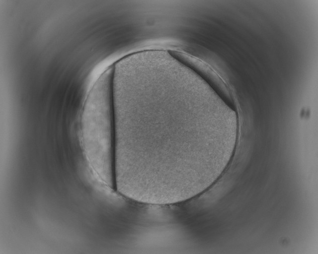 X0000110890960200907301539