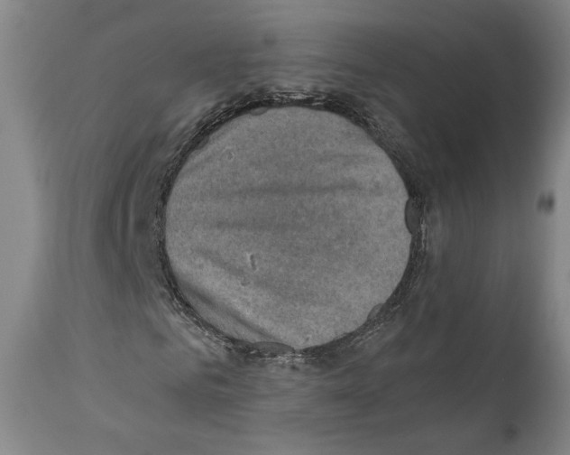 X0000110890961200907301538