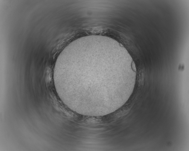 X0000110890962200907301538
