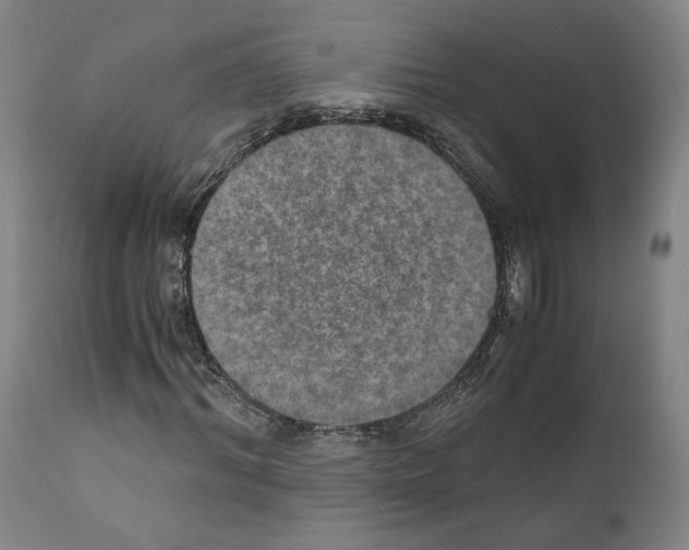 X0000110890964200907301538