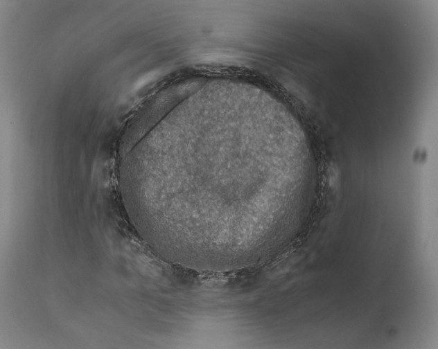 X0000110890965200907301538