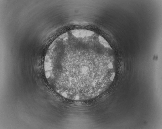 X0000110890966200907301538