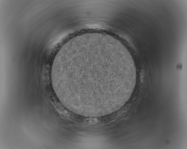 X0000110890968200907301538