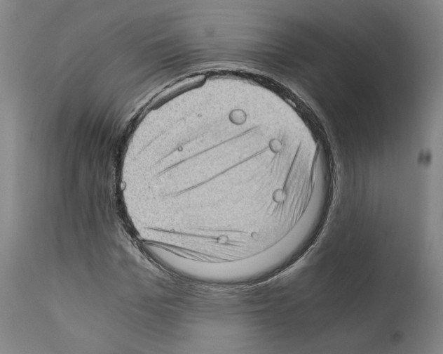 X0000110890969200907301538