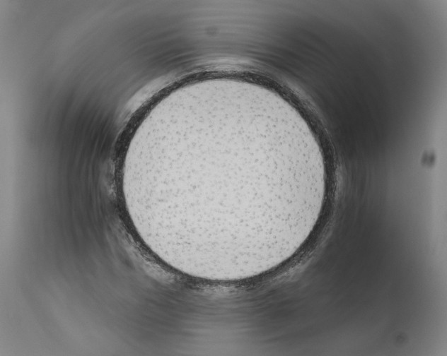 X0000110890970200907301538