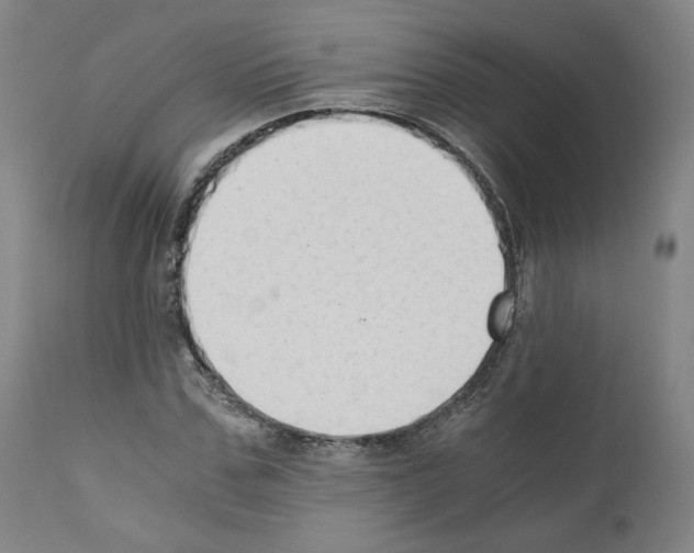 X0000110890971200907301538