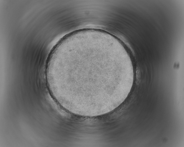 X0000110890972200907301538