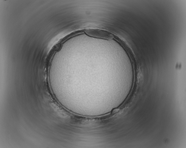 X0000110890973200907301538