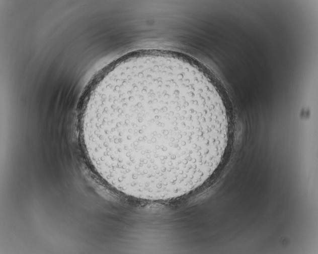 X0000110890974200907301538