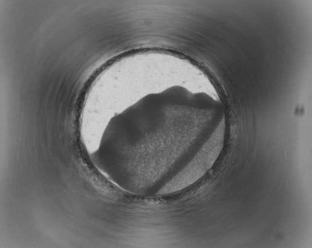 X0000110890975200907301538