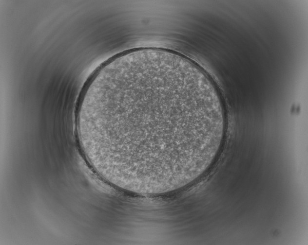 X0000110890980200907301538
