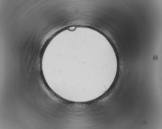 X0000110890981200907301538