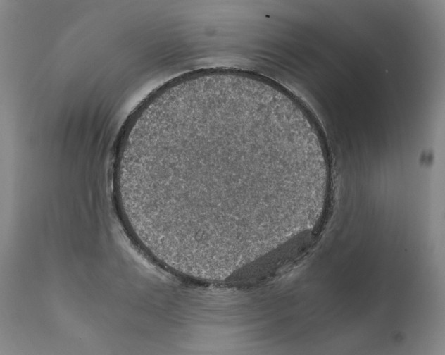 X0000110890983200907301538