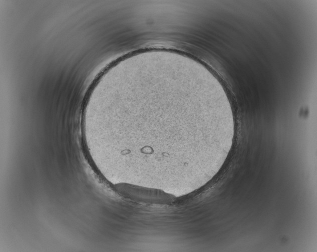 X0000110890984200907301538