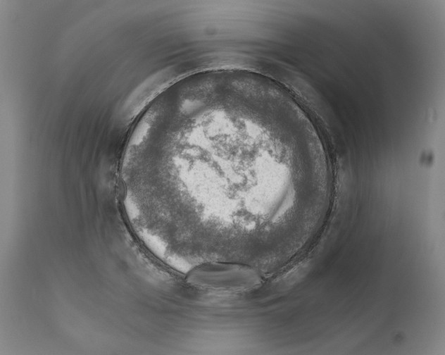 X0000110890985200907301538