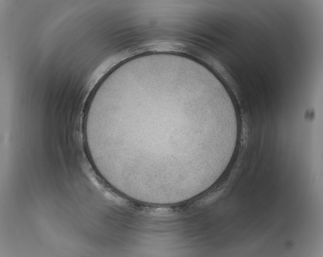 X0000110890986200907301538