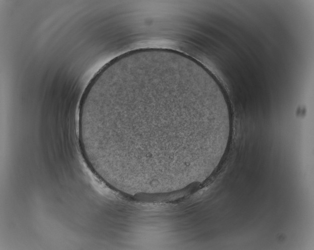 X0000110890988200907301538
