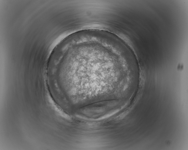 X0000110890989200907301538