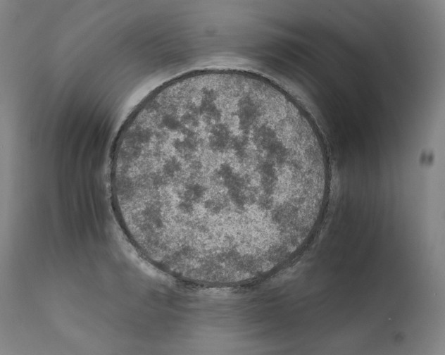 X0000110890990200907301538