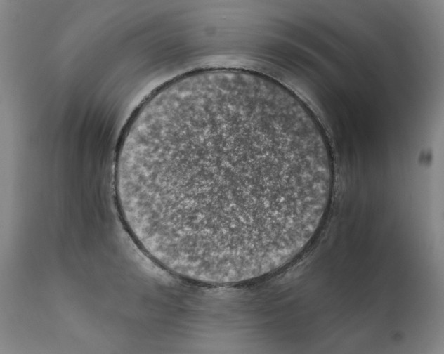 X0000110890992200907301538