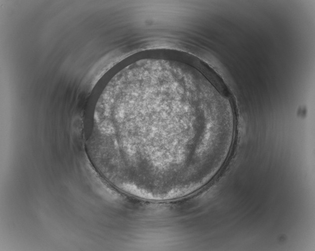 X0000110890993200907301538