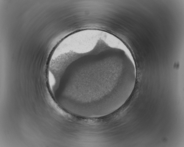 X0000110890995200907301538