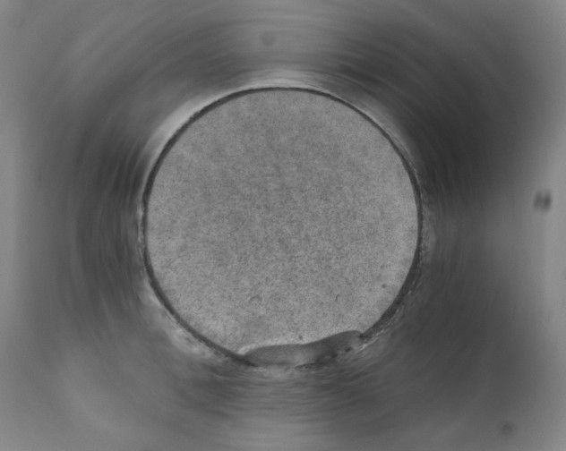 X0000110890996200907301538