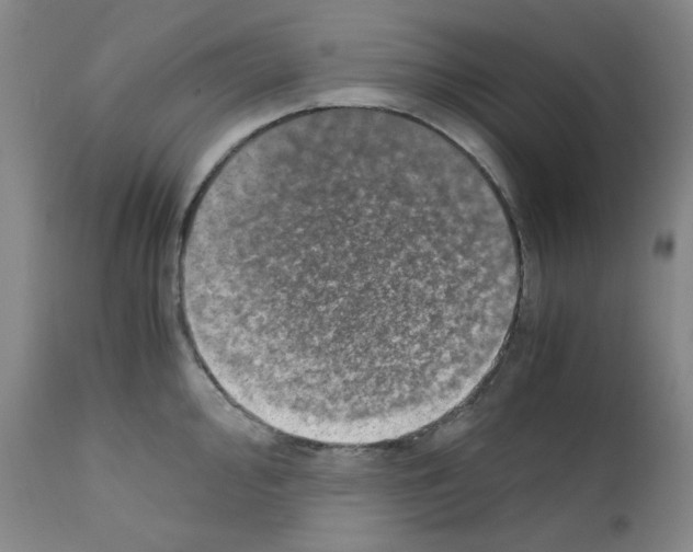X0000110891000200907301538