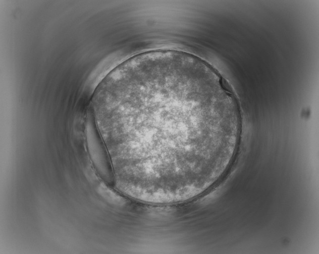 X0000110891001200907301538