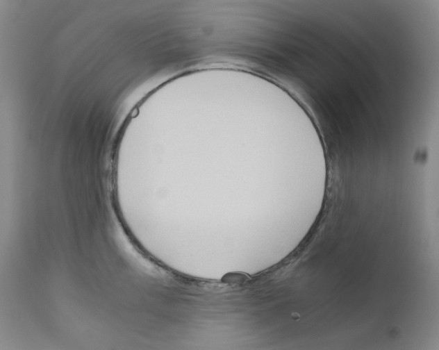 X0000110891003200907301538