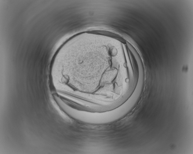 X0000110891005200907301538