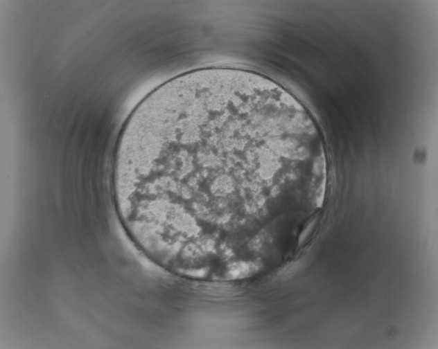 X0000110891007200907301538