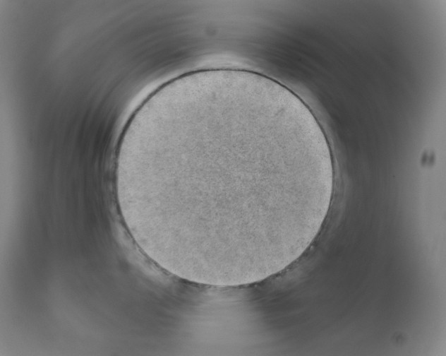 X0000110891008200907301538