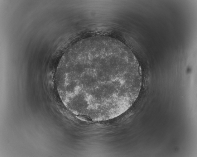 X0000110891010200907301537