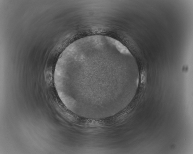 X0000110891011200907301537