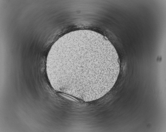 X0000110891012200907301537