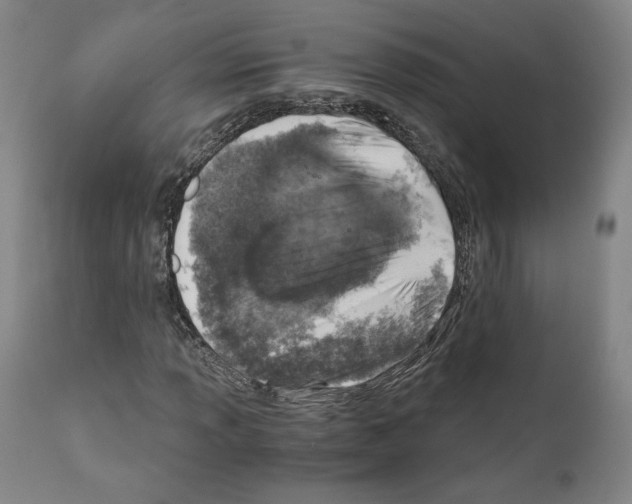 X0000110891013200907301537