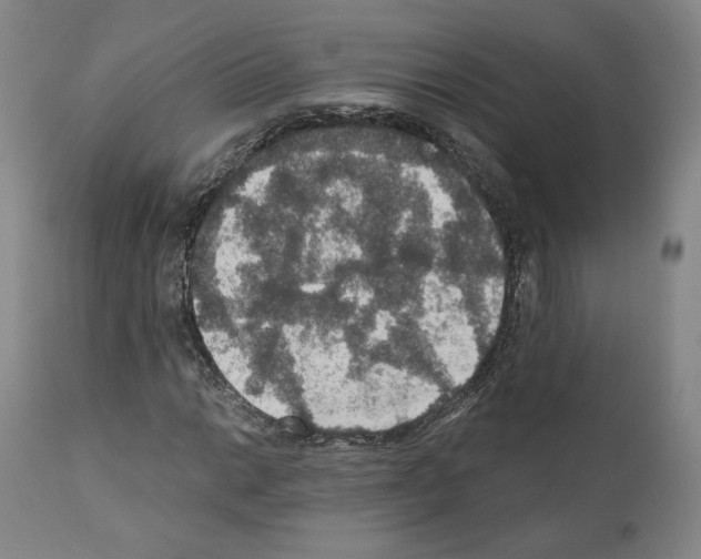 X0000110891014200907301537