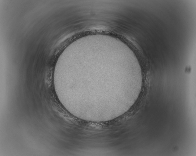 X0000110891015200907301537