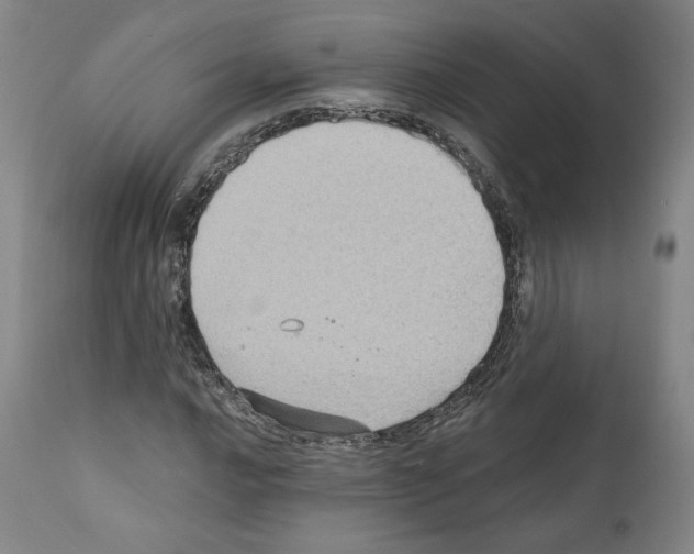X0000110891016200907301537