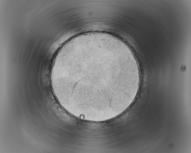 X0000110891018200907301537