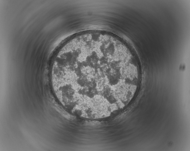 X0000110891019200907301537