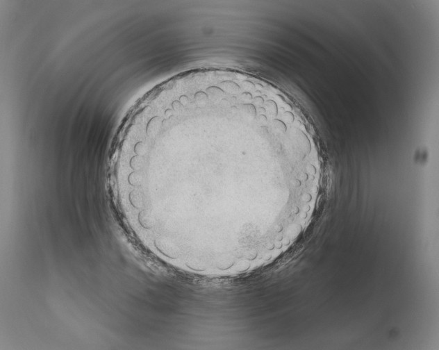 X0000110891020200907301537