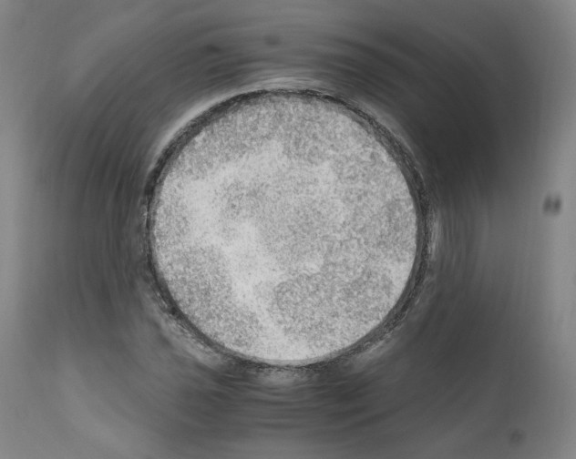 X0000110891021200907301537
