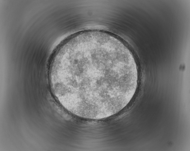 X0000110891022200907301537
