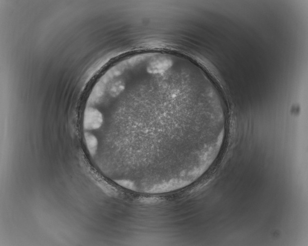 X0000110891023200907301537