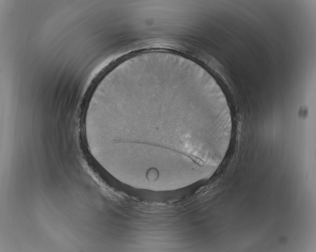 X0000110891024200907301537
