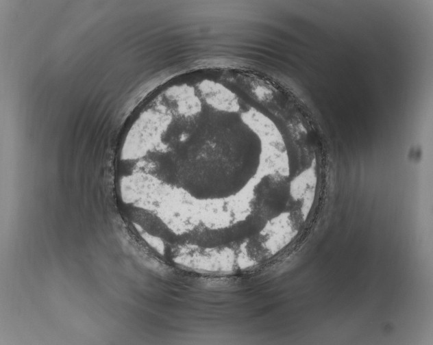 X0000110891025200907301537
