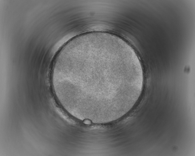 X0000110891026200907301537